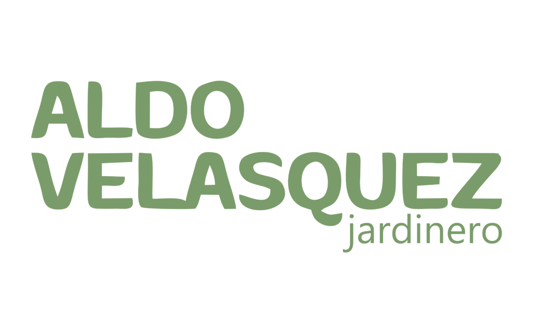 Aldo Velasquez Jardinero
